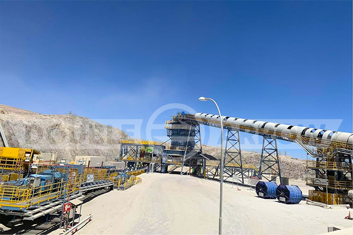 1732063495517637C663.jpg 1732063495517637C663.jpg